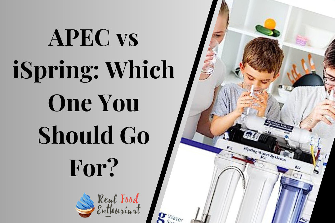 APEC vs iSpring: Which One You Should Go For?