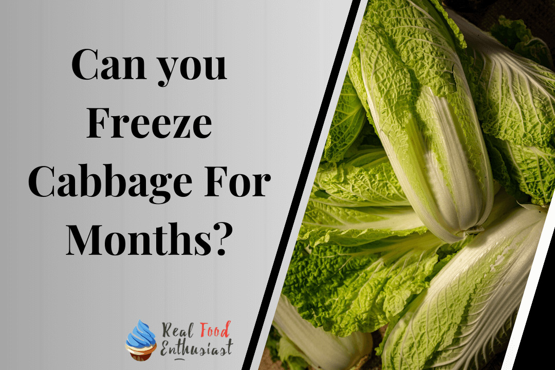 Can you freeze cabbage for months