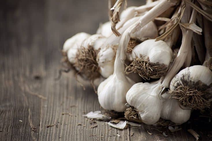 can you freeze garlic