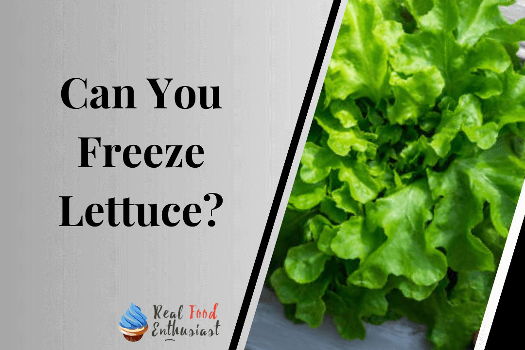 Can You Freeze Lettuce
