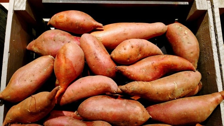 can you freeze sweet potatoes
