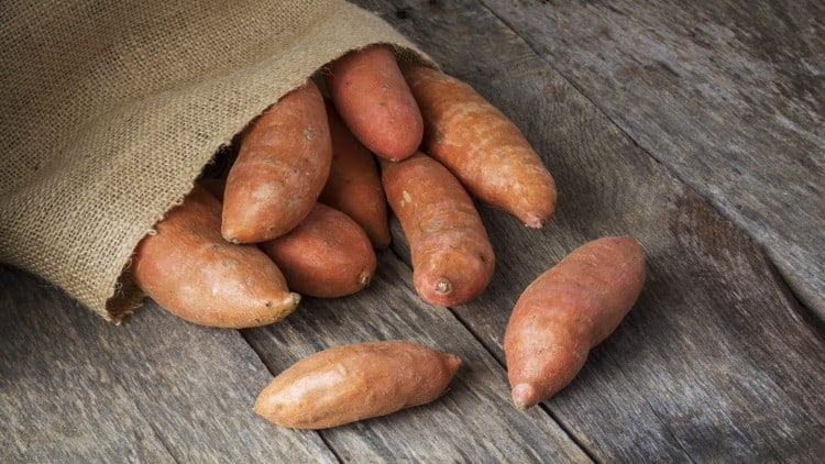 can you freeze sweet potatoes
