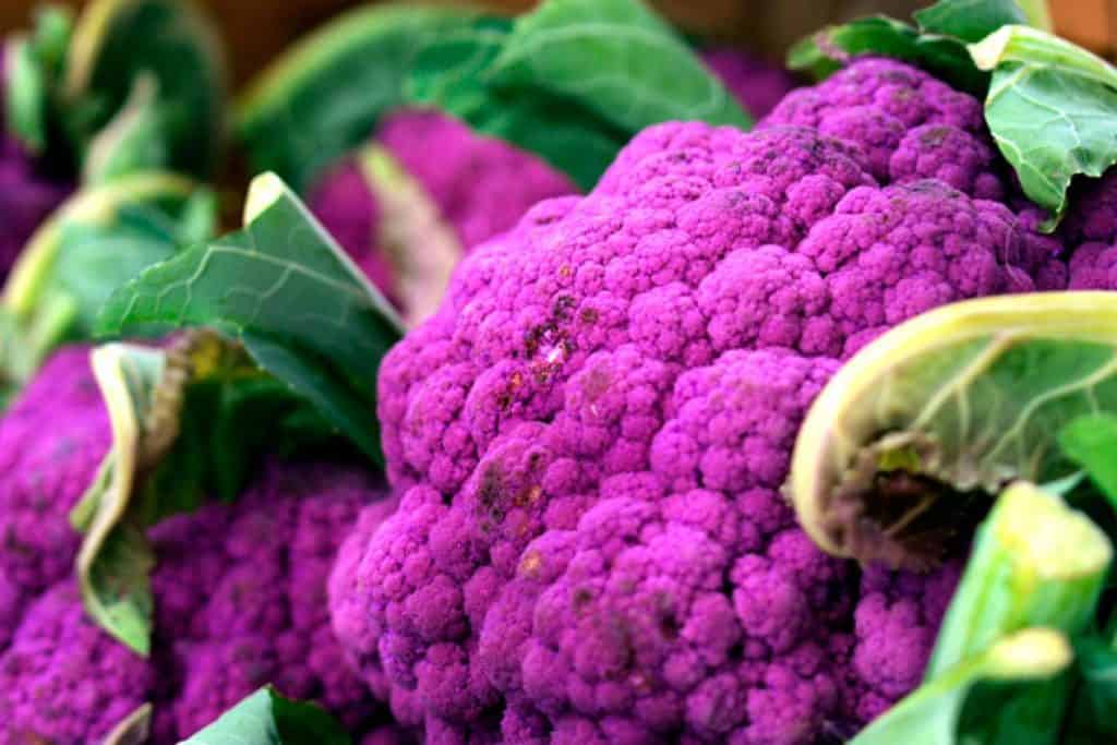 Broccoli Turning Purple