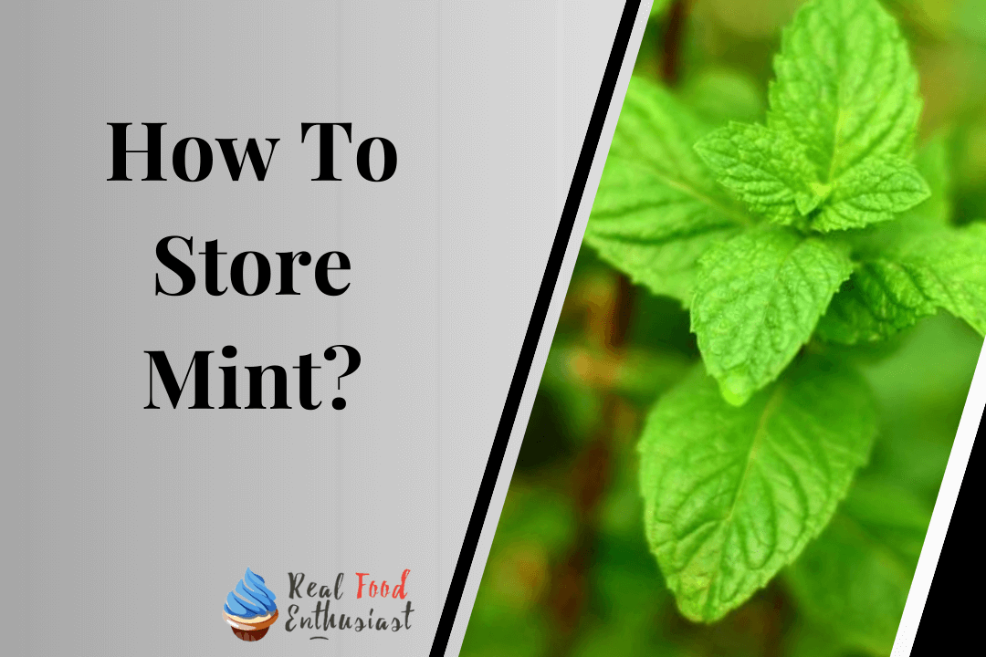 How To Store Mint