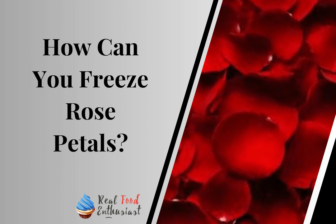 How Can You Freeze Rose Petals