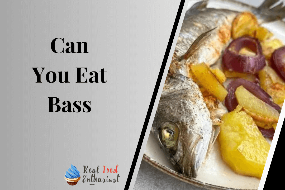 Can You Eat Bass