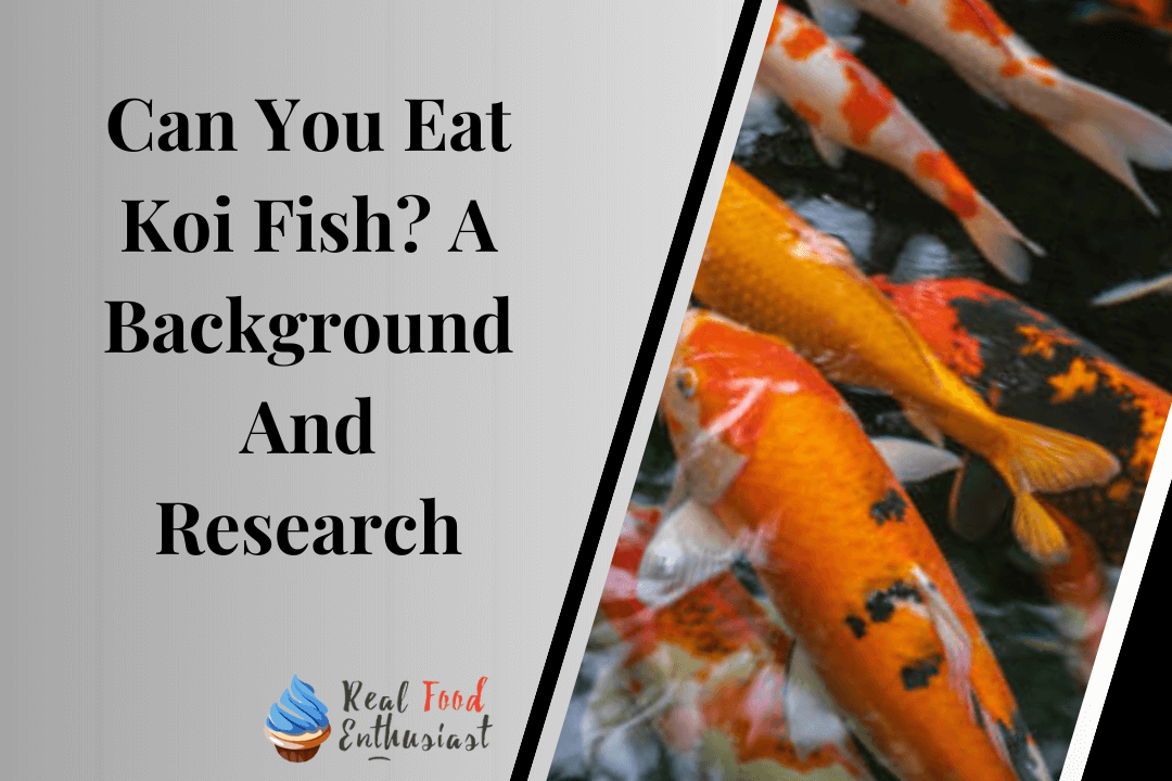 Can You Eat Koi Fish A Background And Research