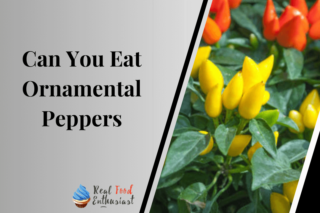 Can You Eat Ornamental Peppers