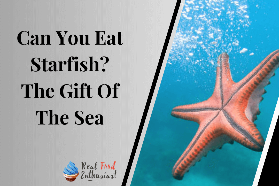 Can You Eat Starfish The Gift Of The Sea