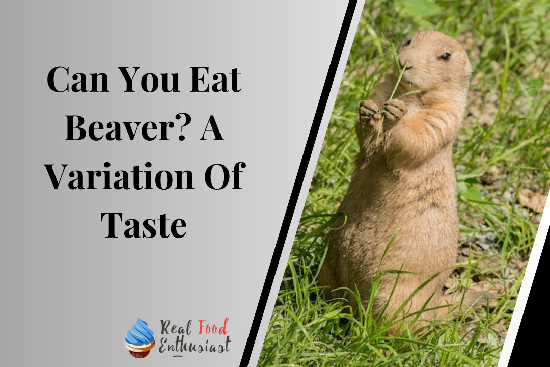 Can You Eat Beaver? A Variation Of Taste