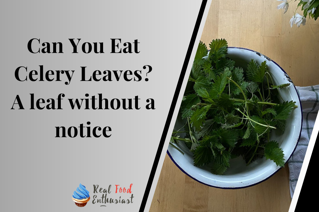 Can You Eat Celery Leaves? A leaf without a notice