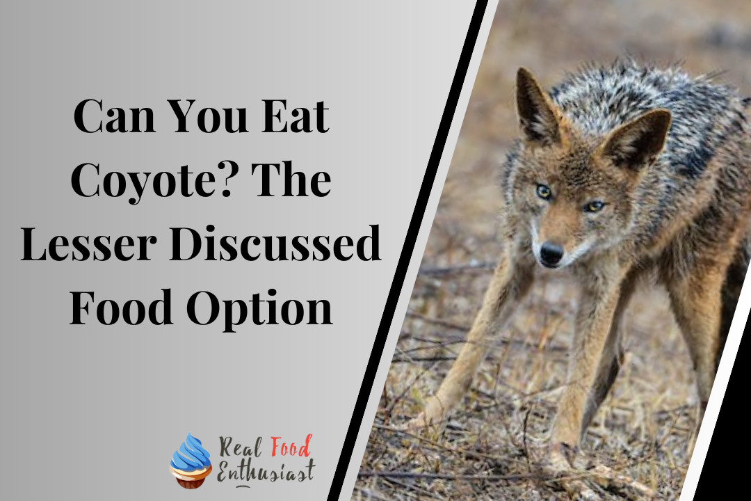 Can You Eat Coyote? The Lesser Discussed Food Option