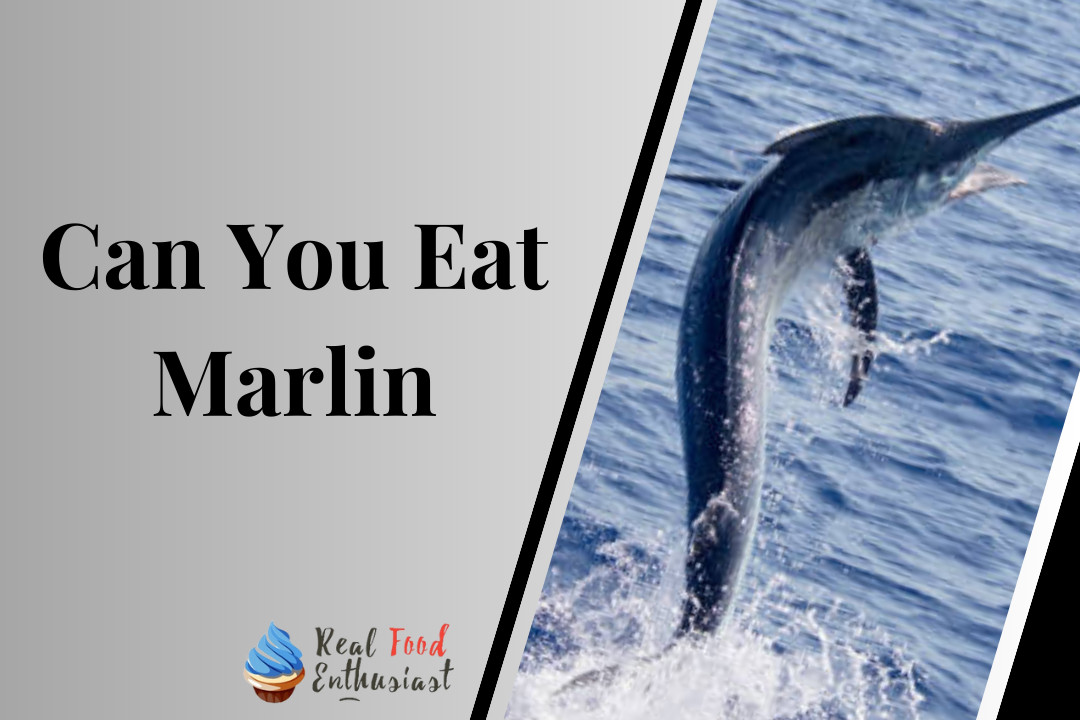 Can You Eat Marlin