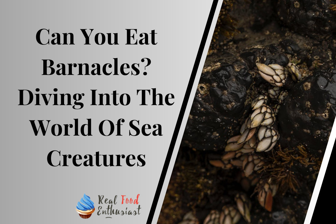 Can You Eat Barnacles? Diving Into The World Of Sea Creatures