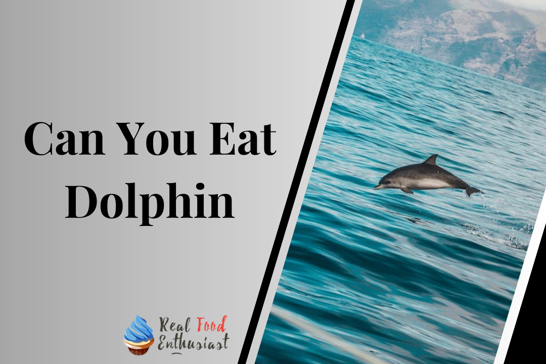 Can You Eat Dolphin