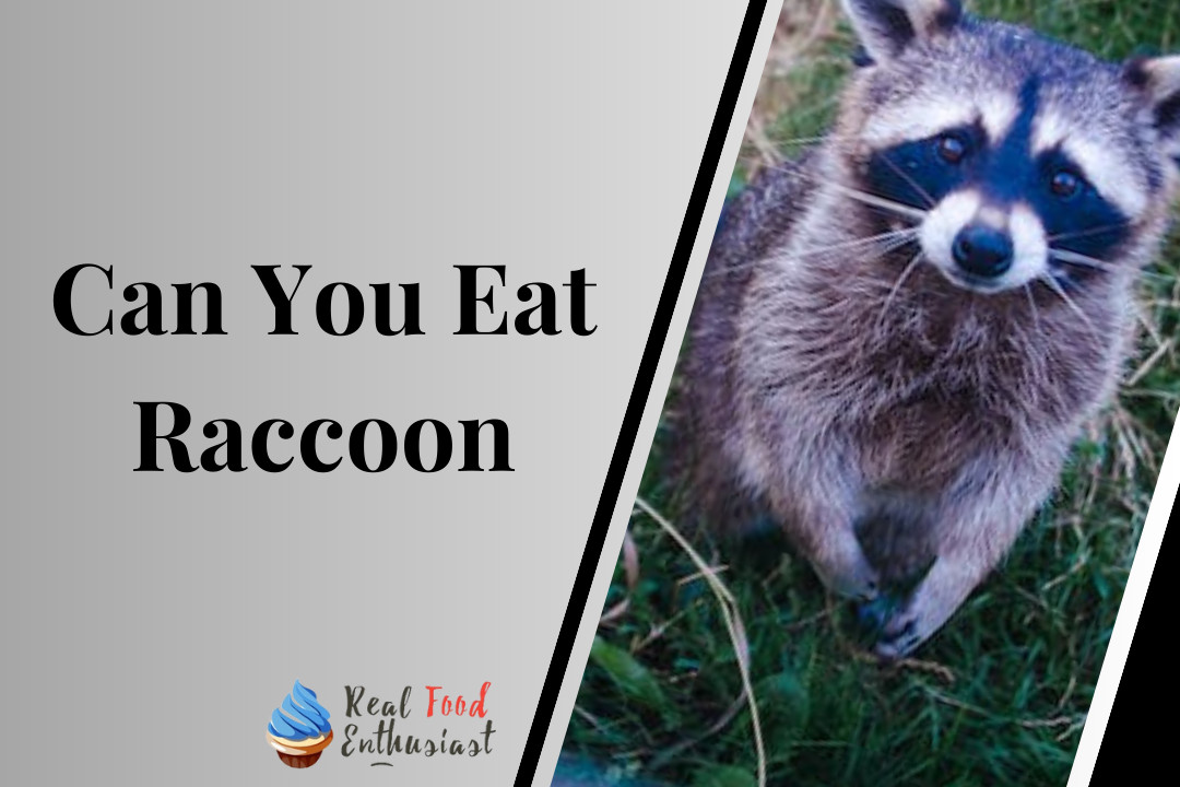 Can You Eat Raccoon