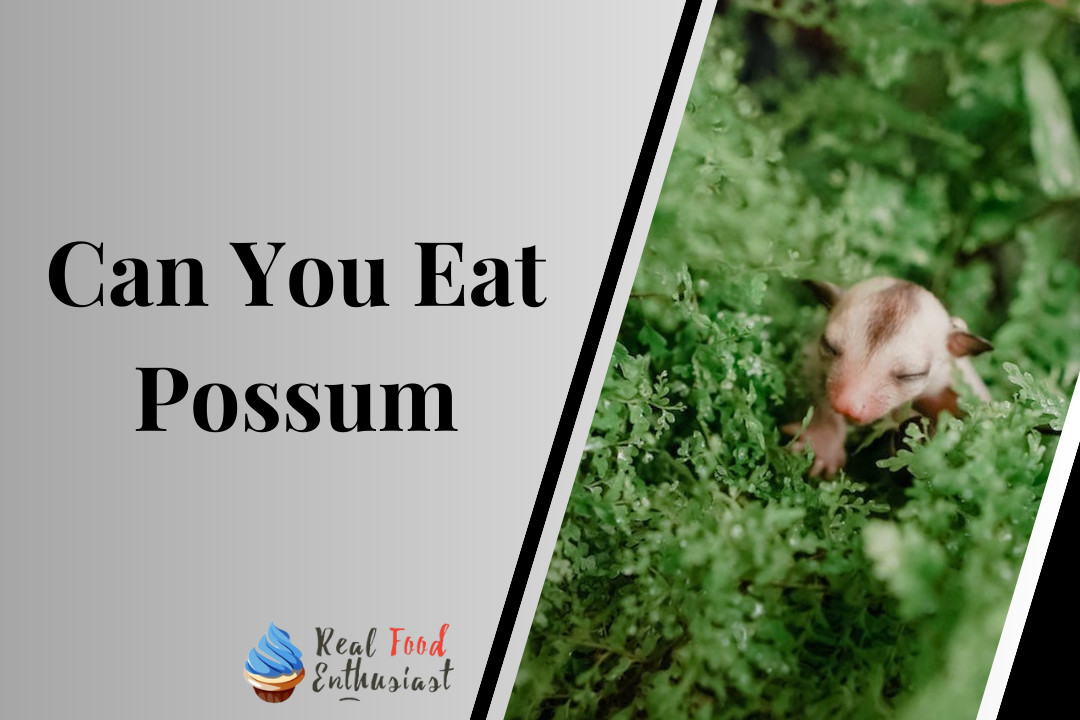 Can You Eat Possum