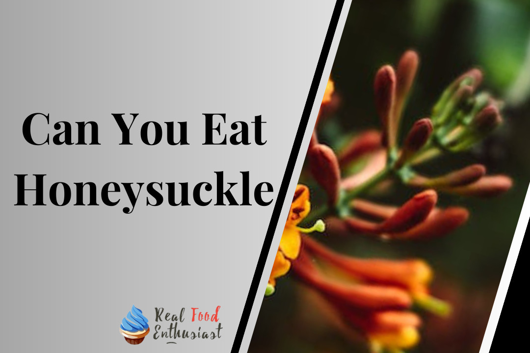 Can You Eat Honeysuckle