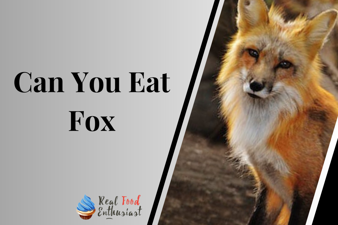Can You Eat Fox