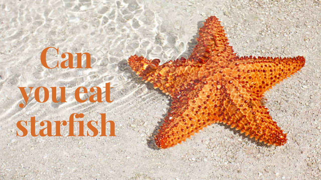 Can you eat starfish