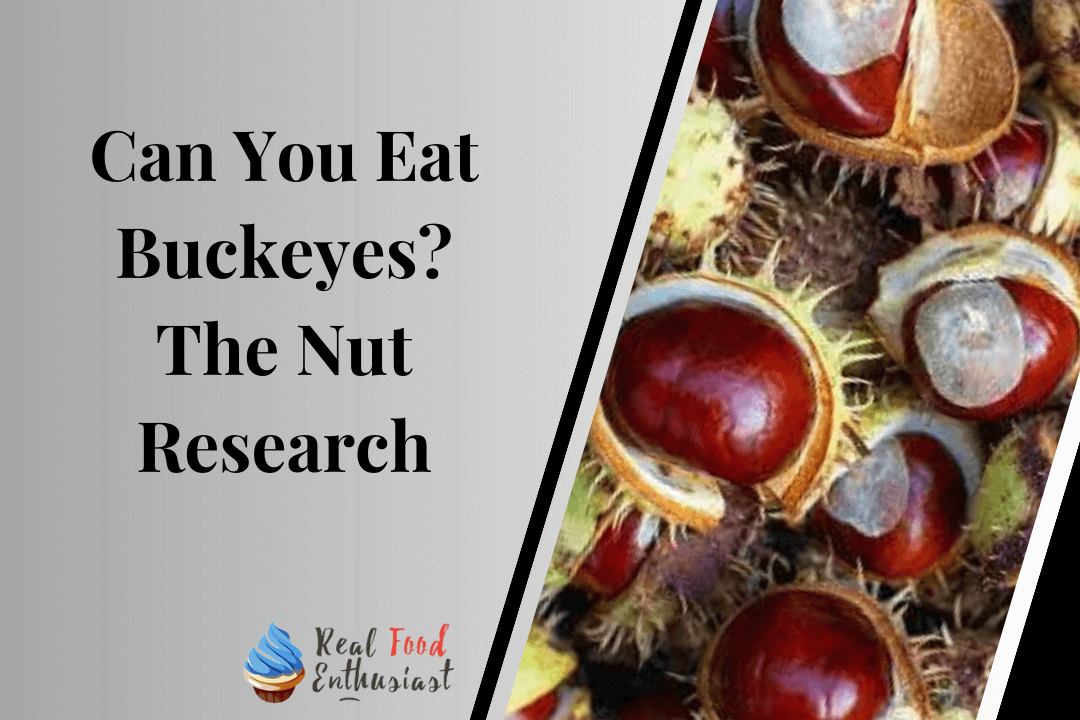 Can You Eat Buckeyes The Nut Research