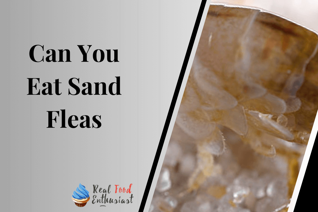 Can You Eat Sand Fleas
