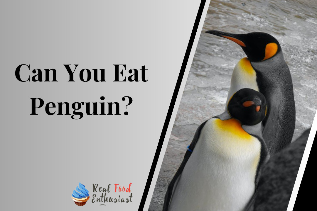Can You Eat Penguin?