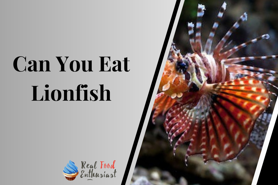 Can You Eat Lionfish