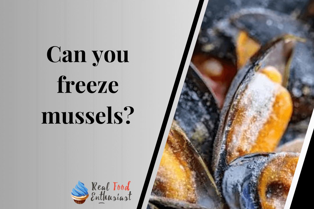 Can you freeze mussels