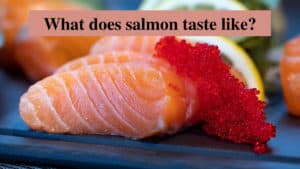 what does salmon taste like
