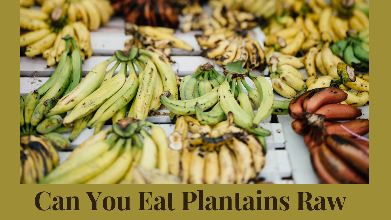 can you eat plantains raw