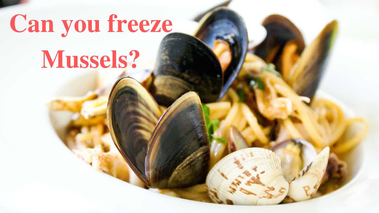 can you freeze mussels
