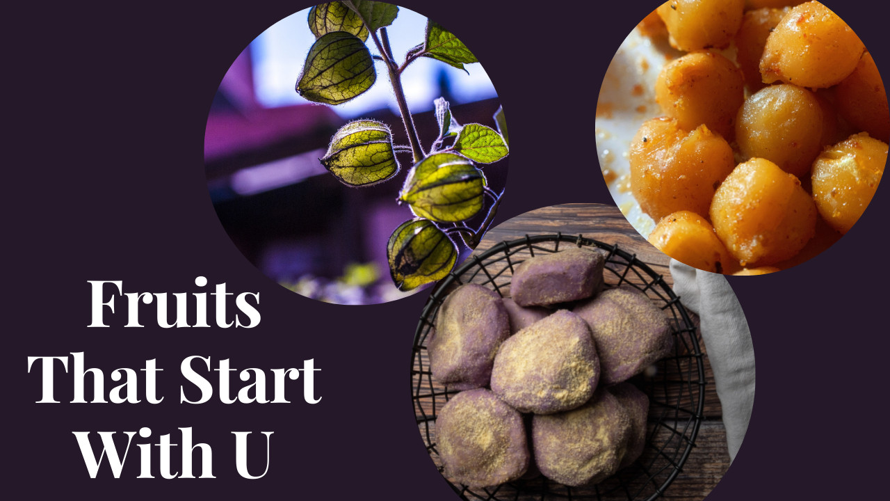 fruits that start with U