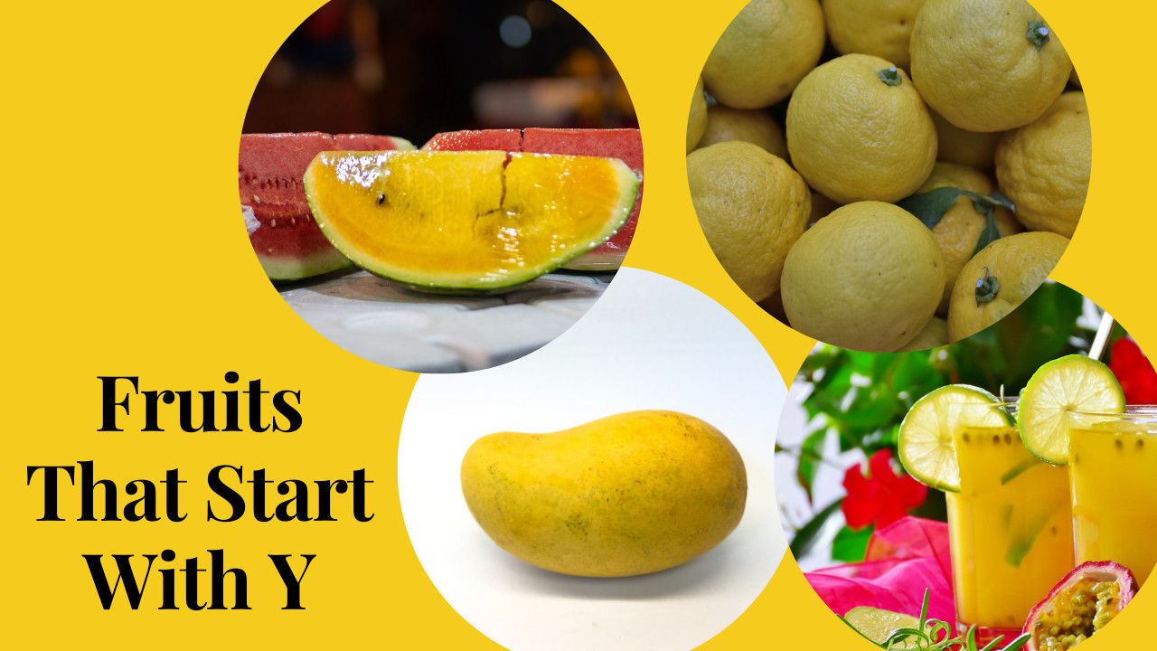 fruits that start with y