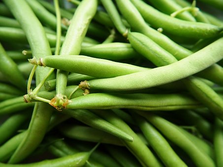 Can you eat raw green beans